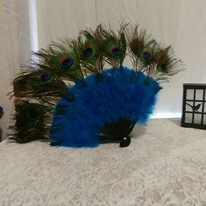 Peacock fan FINAL MARKDOWN